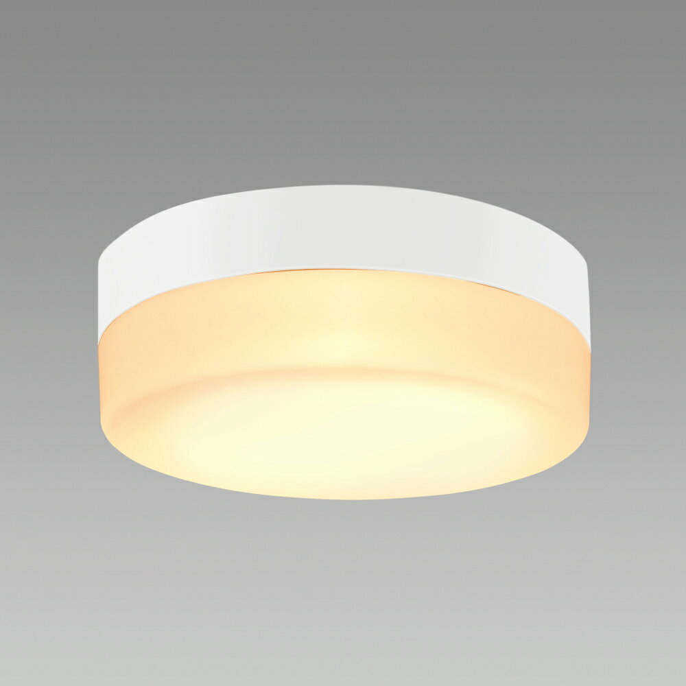 ホタルクス LED小型シーリングライト 防雨 防湿 屋外 浴室 勝手口 玄関灯 LIFELED'S 電球色3000K 900lm 15.6W マンション共有部 廊下 玄関(3)