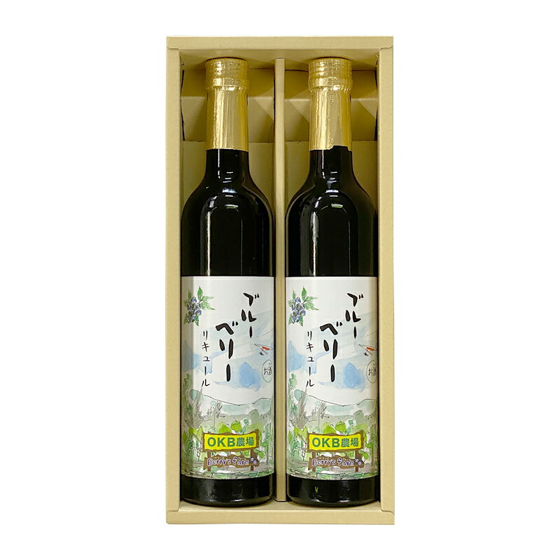 ブルーベリーリキュール 2本入りギフトセット 17度 500ml 果実酒 お酒 アルコール 瓶 九重味淋本みりんベース OKB農場Berry'sFarm池田産 カクテル みりん酒 父の日 母の日 プレゼント 贈り物 岐阜 農園 岐阜県池田町 ベリーズファーム池田