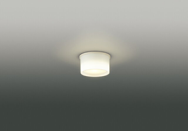 東芝ライテック LED小形シーリングライト LED屋内小形シーリング 廊下 トイレ ウォークインクローゼット 階段 器具のみ ランプ別売
