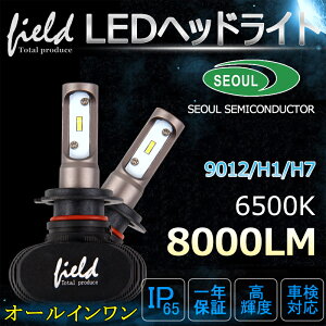 車検対応 LEDヘッドライト8000LM 6500K LEDヘッドライトバルブ　H1/H7/9012 8000LM LEDキット オールインワンタイプ 12V/24V S1ファンレスタイプ 遮光板採用 車 カスタム パーツ