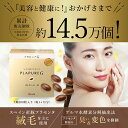 【LINE追加で最大10%OFF!!】プラセンタ サプリ プラピュアG 1ヵ月 100粒入り プレゼント お試し 美容 元気 食生活 不規則 睡眠 元気 高純度...