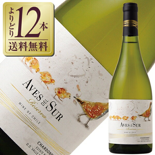 【よりどり12本送料無料】 デルスール レゼルバ シャルドネ 2021 750ml 白ワイン チリのサムネイル