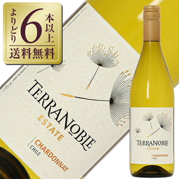 【よりどり6本以上送料無料】 テラノブレ ヴァラエタル シャルドネ 2021 750ml 白ワイン チリ