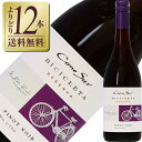 【outlet-1212】【よりどり12本送料無料】 コノスル ピノノワール ビシクレタ レゼルバ 2021 750ml【旧VT2021、瓶傷、キャップ、ラベル...