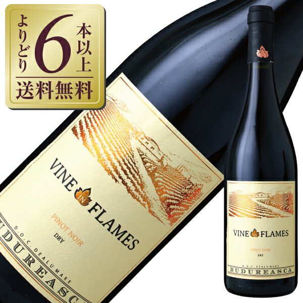 【よりどり6本以上送料無料】 ヴィル ブドゥレアスカ ヴァイン イン フレイム ピノ ノワール 2023 750ml ルーマニア 赤ワイン