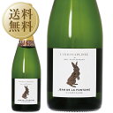  シャンパーニュ バロン アルベール ジャン ド ラ フォンテーヌ ランディシプリネ ブラン ド ブラン ブリュット 750ml シャンパーニュ シャルドネ フランス