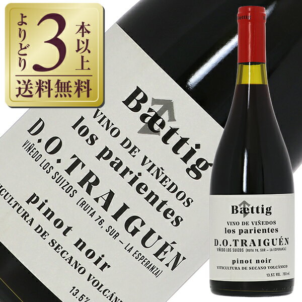 【よりどり3本以上送料無料】 ベティッグ ロス パリエンテス ヴィーノ ヴィニエド ピノ ノワール 2023 750ml 赤ワイン チリ