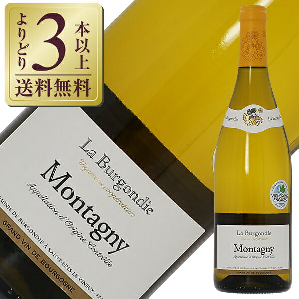 モンタニー・ブラン のボトル（酒類の総合専門店 フェリシティーの商品画像）