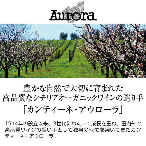 【よりどり6本以上送料無料】 カンティーネ アウローラ エラ グリッロ オーガニック 2024 750ml イタリア グリッロ 白ワイン ledled-10012661 酒類の総合専門店 フェリシティー サンプル画像2