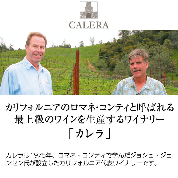 【よりどり6本以上送料無料】 カレラ シャルドネ セントラル コースト 2023 750ml 正規 白ワイン アメリカ カリフォルニア ledled-10019828 酒類の総合専門店 フェリシティー サンプル画像2