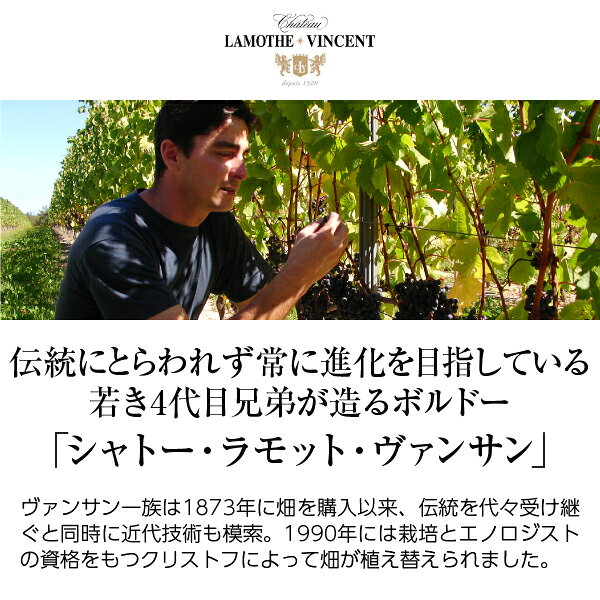 【よりどり6本以上送料無料】 シャトー ラモット ヴァンサン エリタージュ 2022 750ml 赤ワイン メルロー フランス ボルドー ledled-10006246 酒類の総合専門店 フェリシティー サンプル画像2