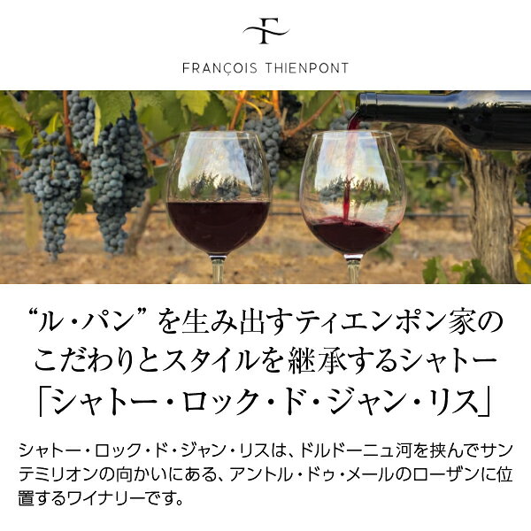 【よりどり6本以上送料無料】 シャトー ロック ド ジャン リス キュヴェ フランソワ ティエンポン 2020 750ml 赤ワイン メルロー フランス ボルドー ledled-10014090 酒類の総合専門店 フェリシティー サンプル画像2