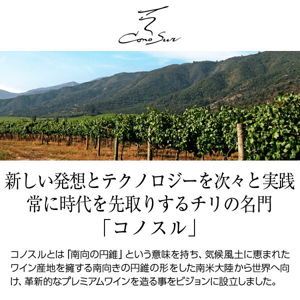 【よりどり12本送料無料】 コノスル ビシクレタ レゼルバ ゲヴュルツトラミネール ...