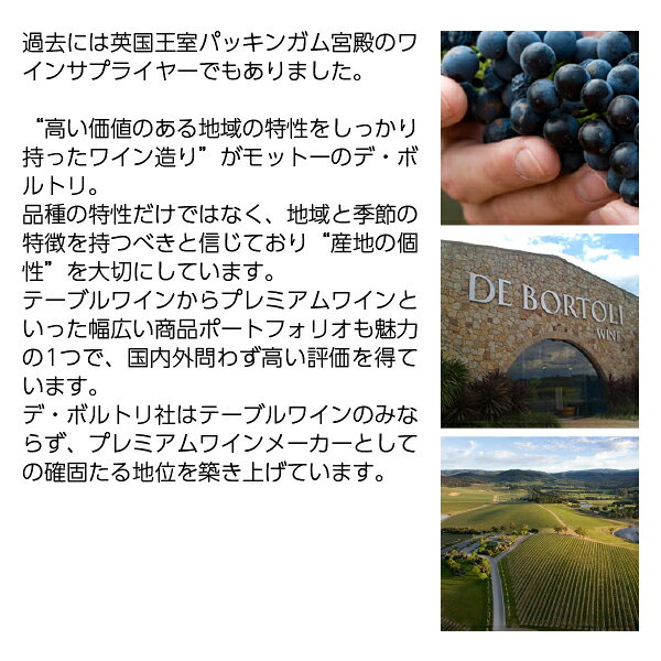 酒類の総合専門店 フェリシティーの【よりどり6本以上送料無料】 デ ボルトリ ディーン マスター ブレンド 2020 750ml 赤ワイン シラーズ オーストラリア｜アングル3