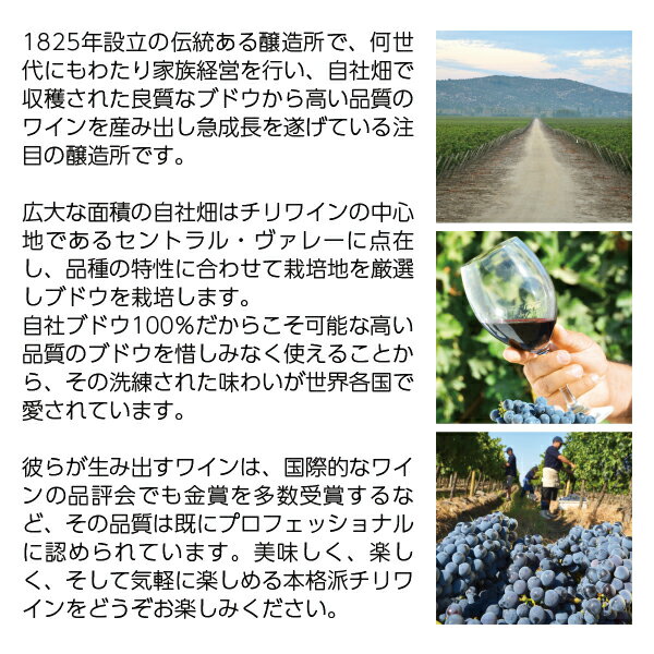 �ڤ��ɤ�12������̵���� �ǥ륹���� �����ɥ� 750ml ��磻�� ����