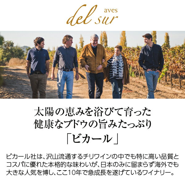 【よりどり12本送料無料】 デルスール ソーヴィニヨンブラン 750ml 白ワイン チリ