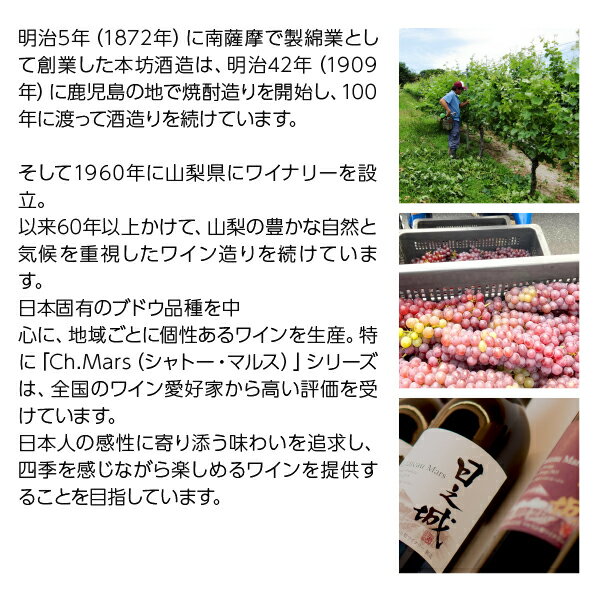 ショップ オブ ザ イヤー 2023ワイン大賞受賞