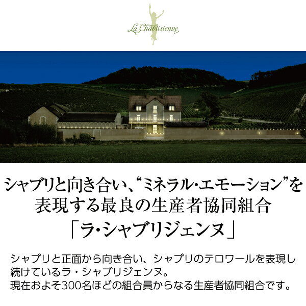 【よりどり6本以上送料無料】 ラ シャブリジェンヌ ブルゴーニュ シャルドネ 2023 750ml 白ワイン フランス ブルゴーニュ ledled-10009650 酒類の総合専門店 フェリシティー サンプル画像2