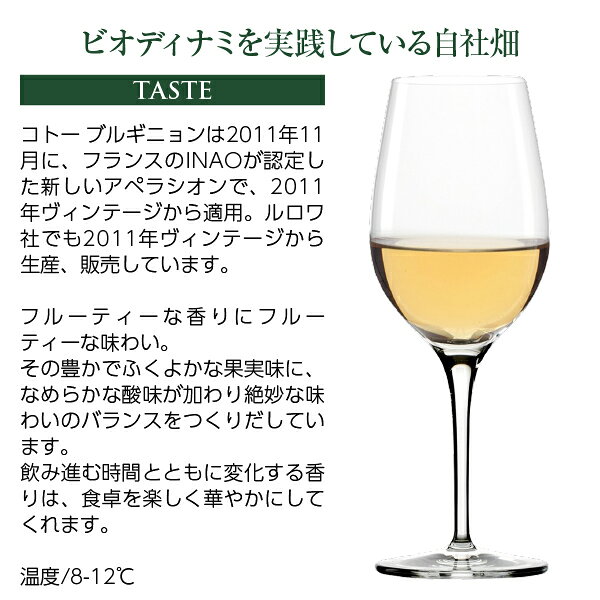 メゾン ルロワ コトー ブルギニヨン ブラン 2023 750ml 白ワイン シャルドネ フランス ブルゴーニュ ledled-10019232 酒類の総合専門店 フェリシティー サンプル画像3