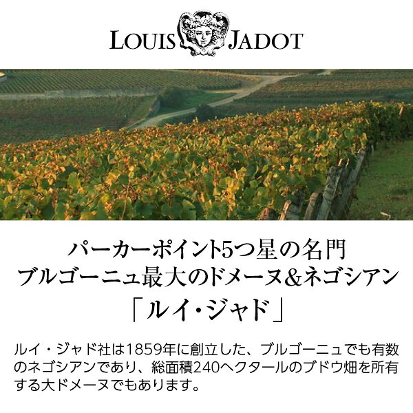 ルイ ジャド ペルナン ヴェルジュレス ブラン クロ ド ラ クロワ ド ピエール 2023 750ml 白ワイン シャルドネ フランス ブルゴーニュ ledled-10007810 酒類の総合専門店 フェリシティー サンプル画像2