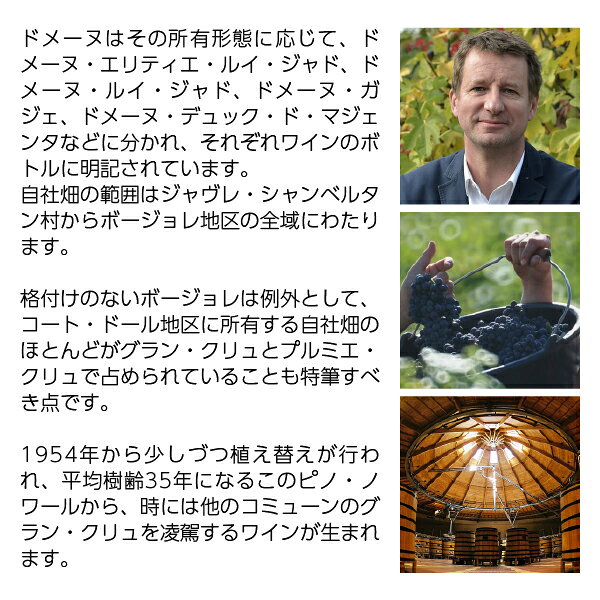 【よりどり6本以上送料無料】 ルイ ジャド リュリー ブラン 2022 750ml 白ワイン シャルドネ フランス ブルゴーニュ ledled-10012135 酒類の総合専門店 フェリシティー サンプル画像3