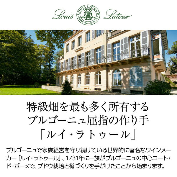 【よりどり6本以上送料無料】 ルイ ラトゥール アルデッシュ（アルディッシュ） シャルドネ 2023 750ml 白ワイン フランス ブルゴーニュ ledled-10019917 酒類の総合専門店 フェリシティー サンプル画像2