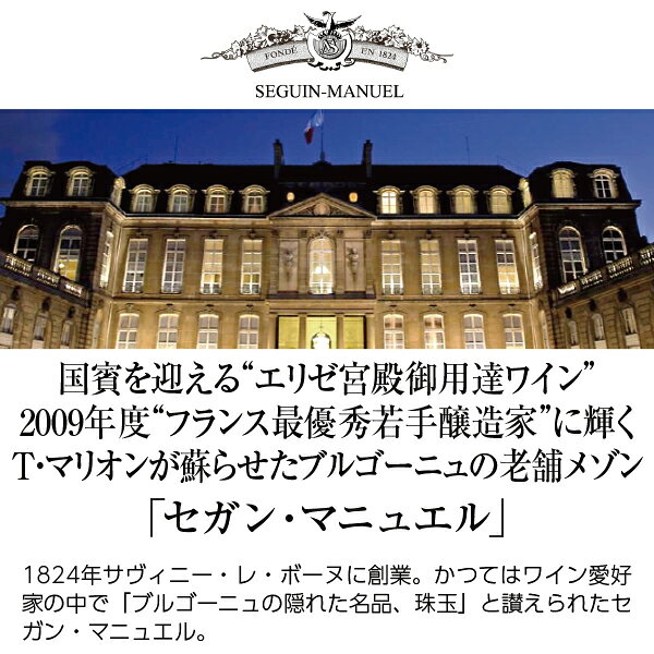 【よりどり6本以上送料無料】 セガン マニュエル ブルゴーニュ シャルドネ 2023 750ml 白ワイン フランス ブルゴーニュ ledled-10009926 酒類の総合専門店 フェリシティー サンプル画像2