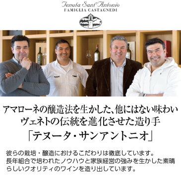 7/29入荷予定 【よりどり6本以上送料無料】 テヌータ サンアントニオ サンアントニオ ソアーヴェ フォンタナ 2019 750ml 白ワイン ガルガネーガ イタリア