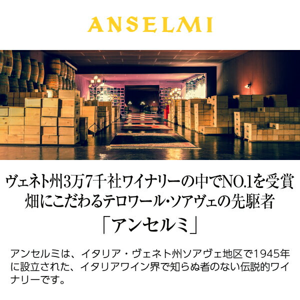 【よりどり6本以上送料無料】 アンセルミ サン ヴィンチェンツオ 2024 750ml 白ワ...