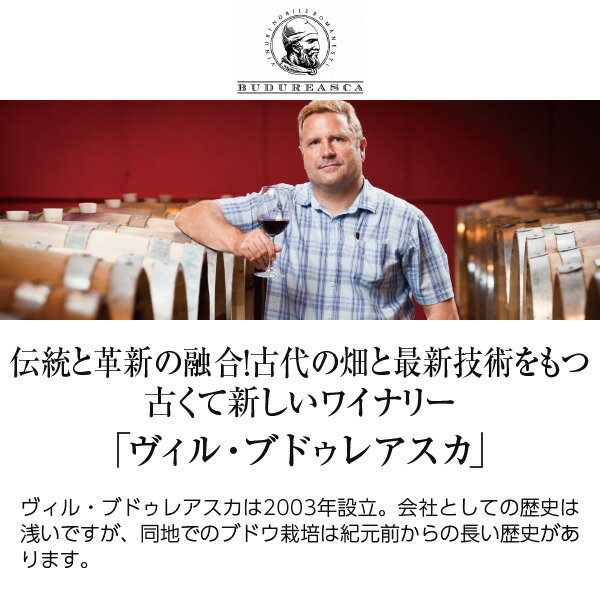 【よりどり6本以上送料無料】 ヴィル ブドゥレアスカ ヴァイン イン フレイム シャルドネ 2024 750ml ルーマニア 白ワイン 2