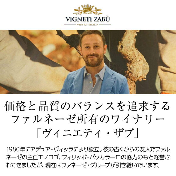 【よりどり6本以上送料無料】 ヴィニエティ ザブ キアンタリ シャルドネ 2024 750m...