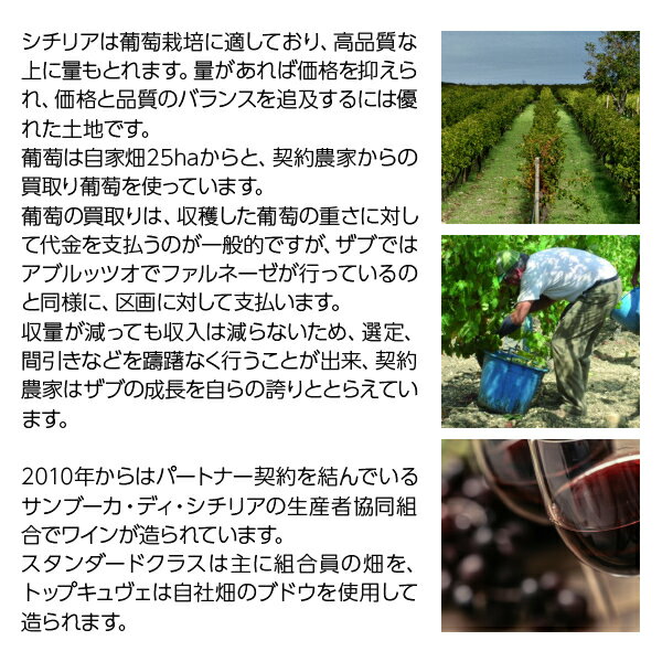 【よりどり6本以上送料無料】 ヴィニエティ ザブ キアンタリ シャルドネ 2024 750m...