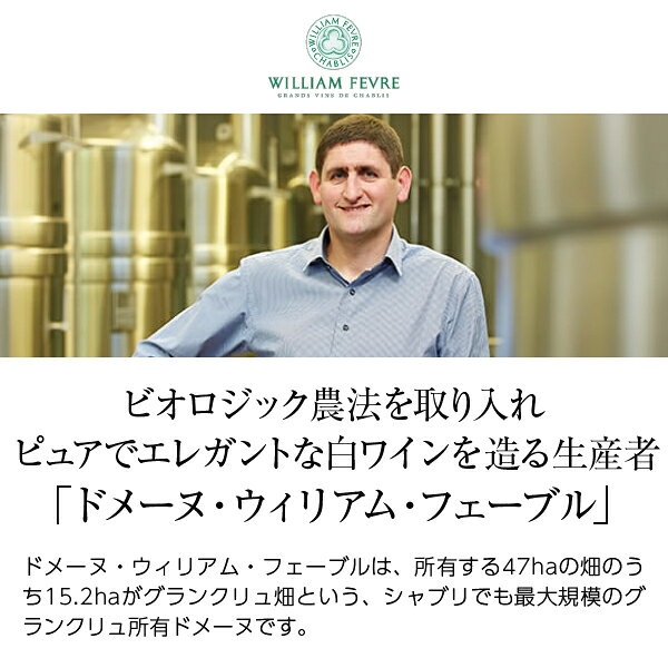 【よりどり6本以上送料無料】 ウィリアム フェーブル シャブリ 2024 750ml 白ワイン シャルドネ フランス ブルゴーニュ ledled-10019972 酒類の総合専門店 フェリシティー サンプル画像2