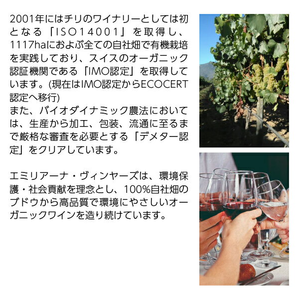 【よりどり6本以上送料無料】 エミリアーナ ヴ...の紹介画像3