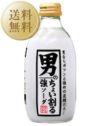 【送料無料】 お得なケース販売 カクテス 男のちょい割る 強ソーダ 1ケース 24本入り 300ml 炭酸水 他商品と同梱不可