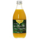 シークヮーサー 台湾産果汁100％ 360ml