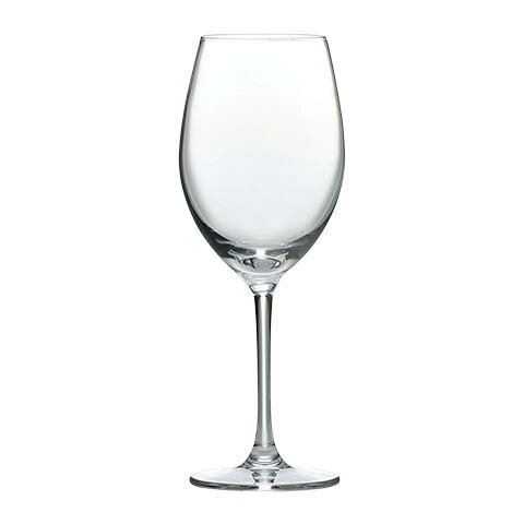 κڥ饹 ѥ 磻 300ml 24ӥå ֡RN-10242CS wineglass ֥磻 饹  ¾...