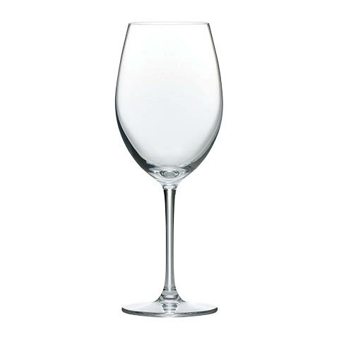 κڥ饹 ѥ 磻 450ml 24ӥå ֡RN-10235CS wineglass ֥磻 饹  ¾...
