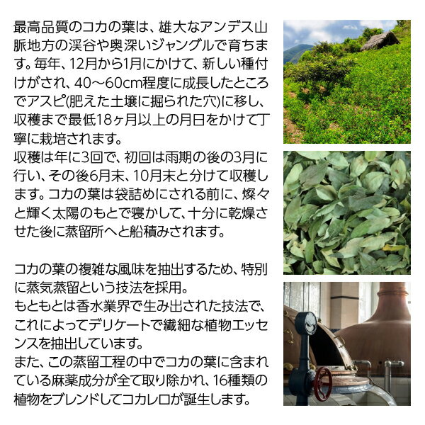 ������� ���饷�� 29�� ���� 700ml