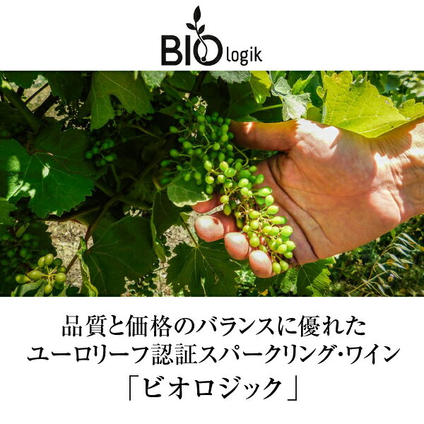 【よりどり3本以上送料無料】 ビオロジック スプマンテ ブリュット 750ml スパークリング ワイン トレッビアーノ オーガニック イタリア ledled-10019767 酒類の総合専門店 フェリシティー サンプル画像2
