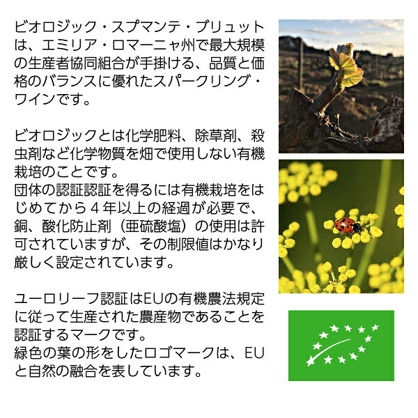 【よりどり3本以上送料無料】 ビオロジック スプマンテ ブリュット 750ml スパークリング ワイン トレッビアーノ オーガニック イタリア ledled-10019767 酒類の総合専門店 フェリシティー サンプル画像3