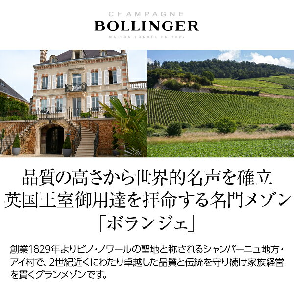 ボランジェ NV スペシャル キュヴェ （ボランジェ スペシャル・キュヴェ）並行 箱なし 750ml シャンパン シャンパーニュ フランス 包装不可 ledled-10002818 酒類の総合専門店 フェリシティー サンプル画像2