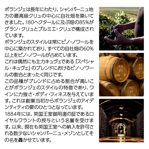 【送料無料】 ボランジェ ラ グランダネ 2018 正規 箱なし 750ml シャンパン シャンパーニュ ピノ ノワール フランス ledled-10007674 酒類の総合専門店 フェリシティー サンプル画像3
