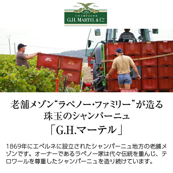 【よりどり6本以上送料無料】 シャンパーニュ コント ド ラモット ブリュット 箱なし 750ml シャンパン シャンパーニュ フランス ledled-10007719 酒類の総合専門店 フェリシティー サンプル画像2