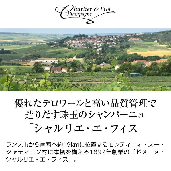 【よりどり6本以上送料無料】 ドメーヌ シャルリエ エ フィス シャンパーニュ プレスティージュ ロゼ NV 箱なし 750ml シャンパン シャンパーニュ フランス ledled-10010043 酒類の総合専門店 フェリシティー サンプル画像2