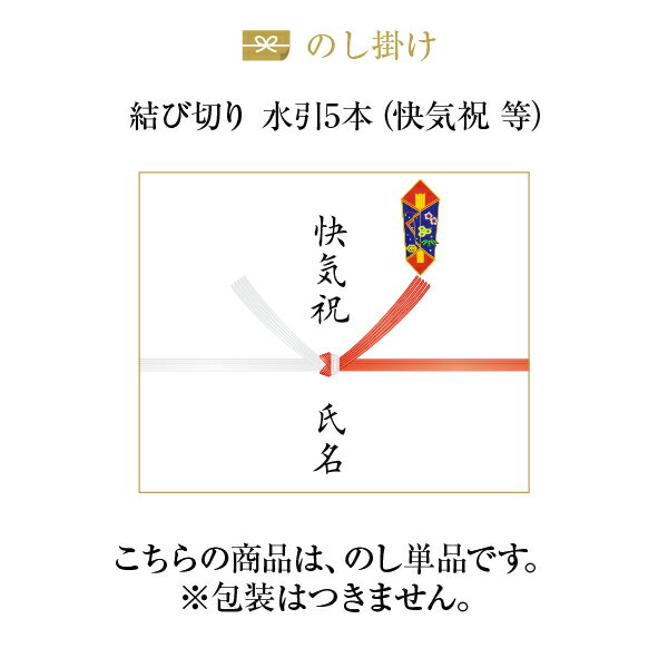 熨斗【のし単品】【結び切り水引5