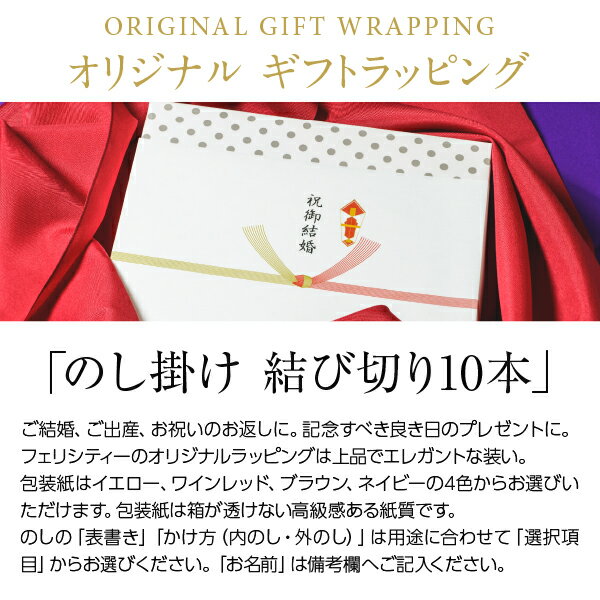 包装紙+のし掛け 【結び切り水引10本】 結婚...の紹介画像2