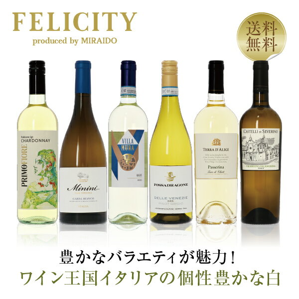 ワイン飲み比べセット 300円OFFクーポン対象 【13】ワイン王国「イタリア」の白ワイン6本セット 第19弾 750ml×6 飲み比べ ワイン セット 【送料無料】【包装不可】