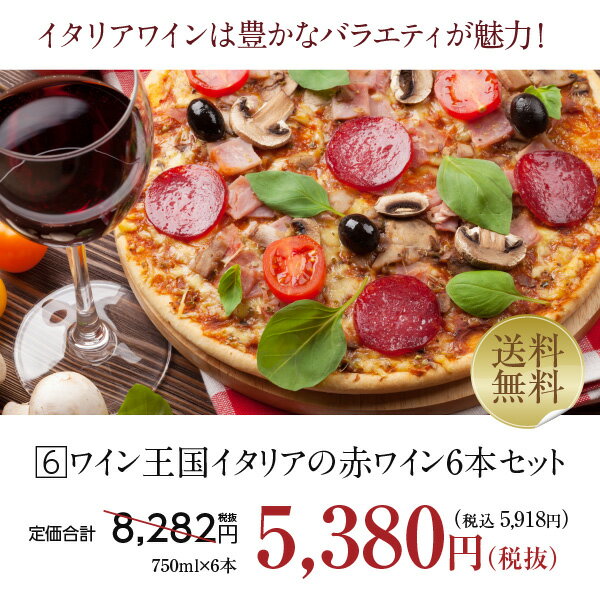 300円OFFクーポン対象 【6】ワイン王国「イタリア」の赤ワイン6本セット 第23弾 750ml×6飲み比べ ワイン セット wine wain 【送料無料】【包装不可】