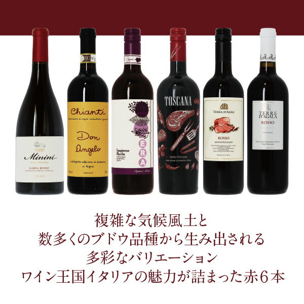 300円OFFクーポン対象 【6】ワイン王国「イタリア」の赤ワイン6本セット 第23弾 750ml×6飲み比べ ワイン セット wine wain 【送料無料】【包装不可】